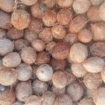 Fresh Dehusked Coconut (Mature)