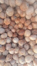 Fresh Dehusked Coconut (Mature)