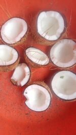 Fresh Dehusked Coconut (Mature) - Image 3