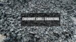Coconut Shell Charcoal - Image 4