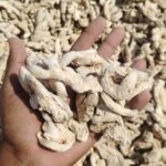 Dry Ginger