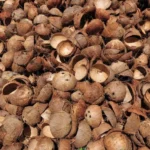 Coconut shell