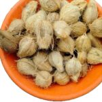 Fresh semihusked Coconut (Mature)
