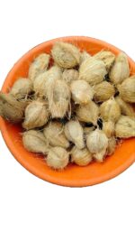 Fresh semihusked Coconut (Mature)